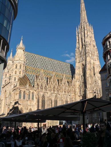 der Stephansdom