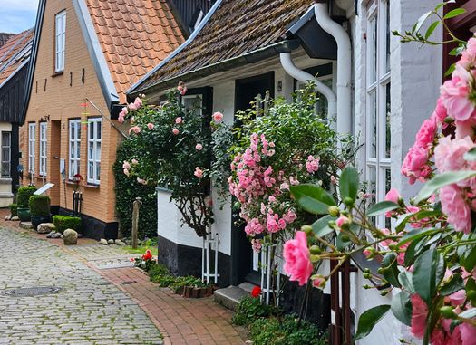 hier nun die historische Fischersiedlung Holm in Schleswig