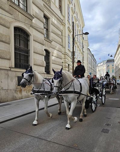 wieder irgendwo in Wien